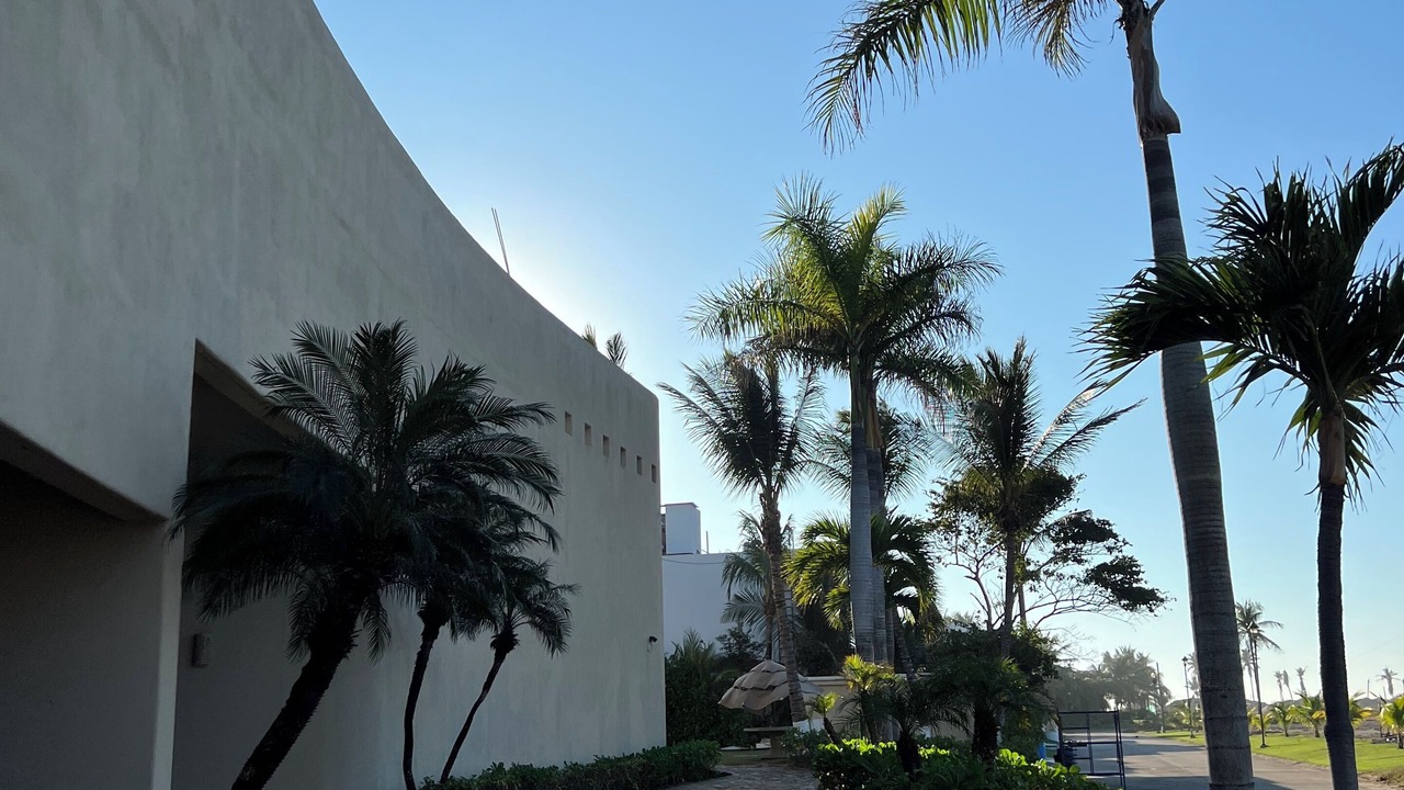Photo of Outdoor in La Condesa