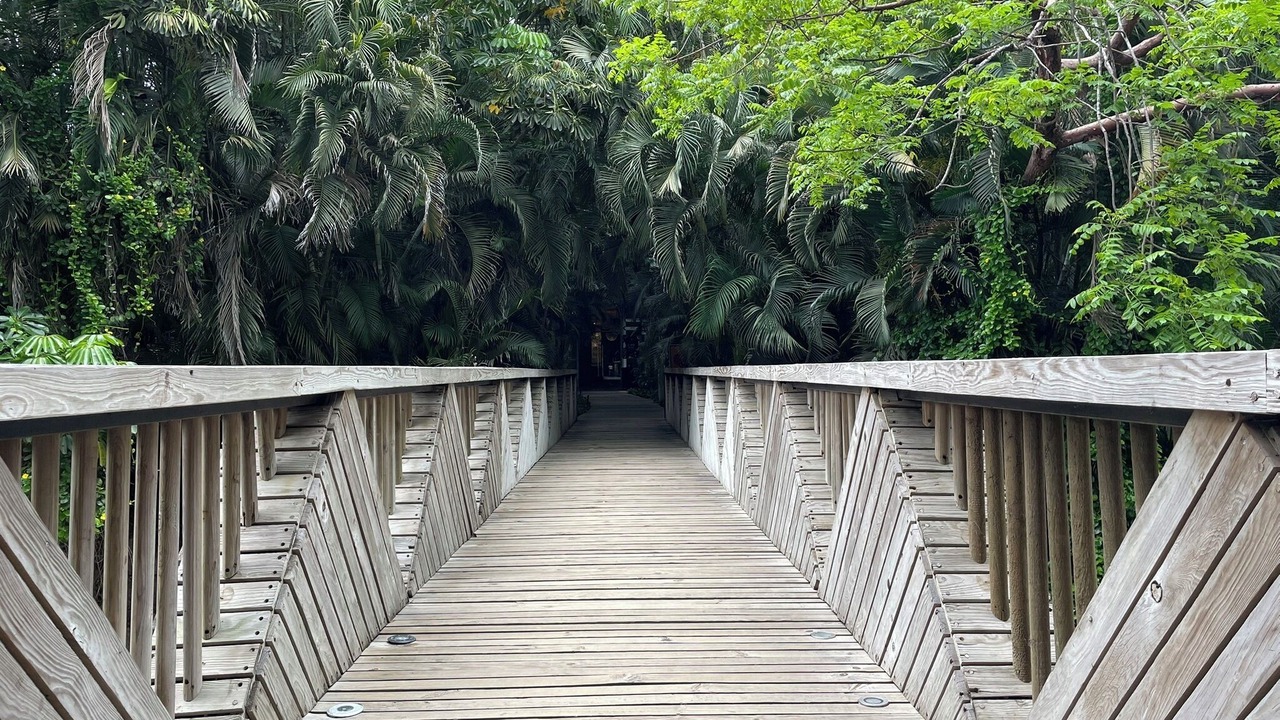 Photo of Outdoor in Las Jarretaderas