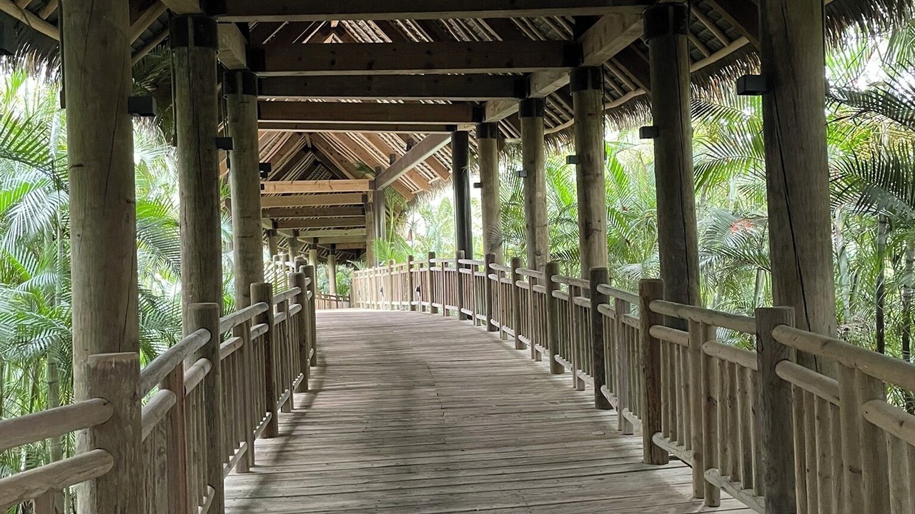 Photo of Outdoor in Las Jarretaderas