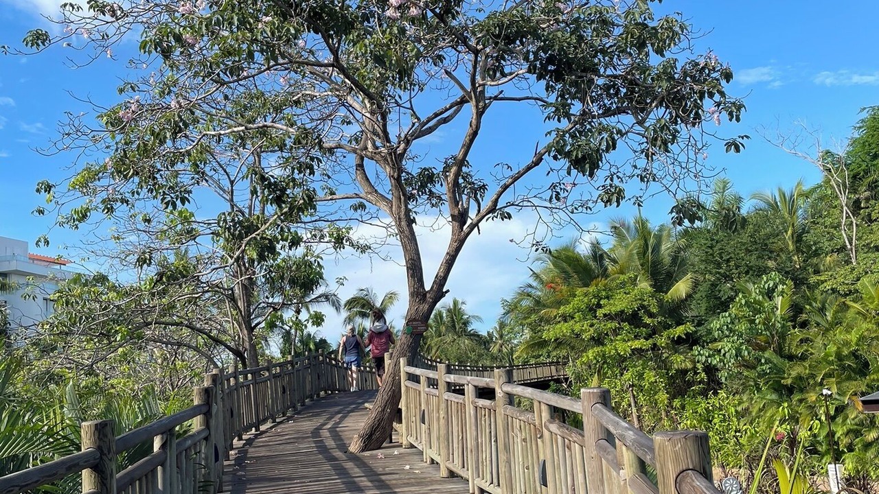 Photo of Outdoor in Las Jarretaderas