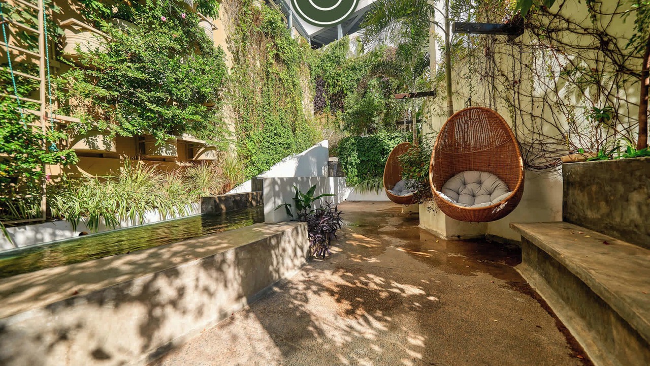 Photo of Outdoor in Downtown Puerto Vallarta