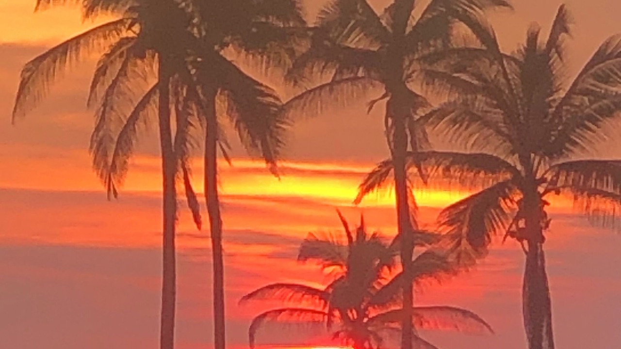 Photo of Others in Acapulco