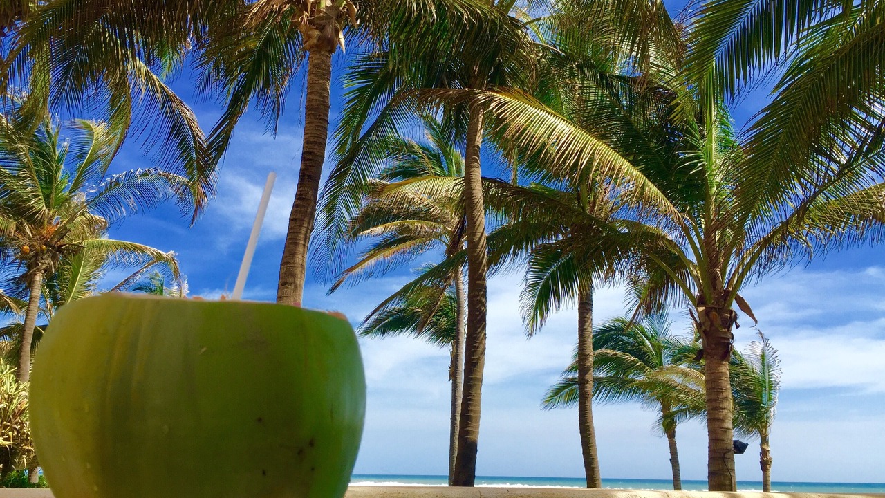 Photo of Outdoor in Acapulco