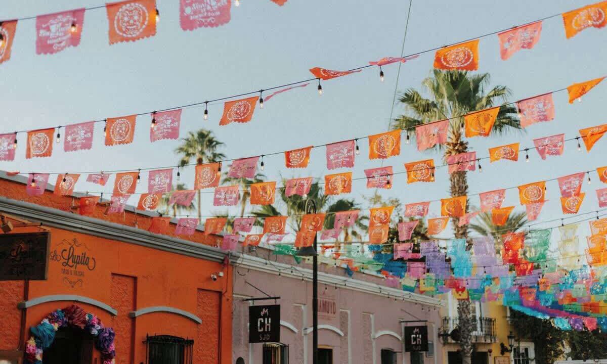 Photo of Others in Los Zacatitos