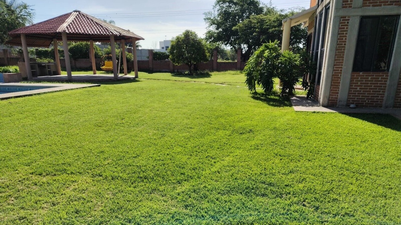 Photo of Outdoor in Ayala