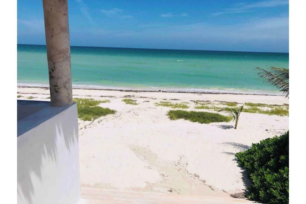 Photo of Others in Chicxulub Puerto