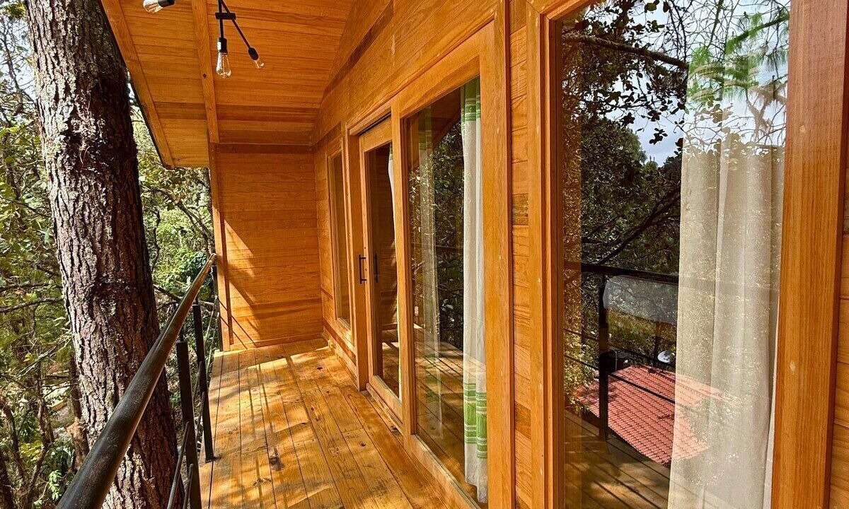 Photo of Outdoor in San Jose del Pacifico