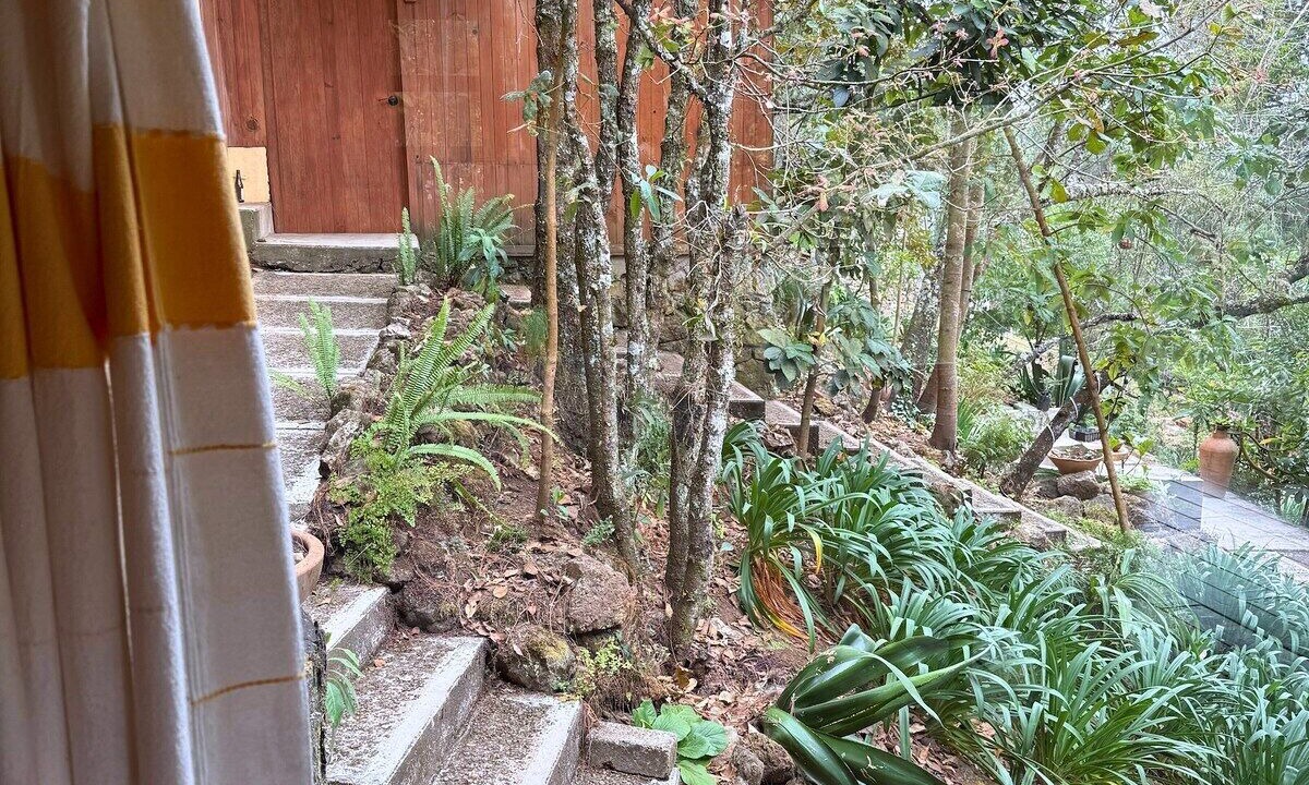Photo of Outdoor in San Jose del Pacifico