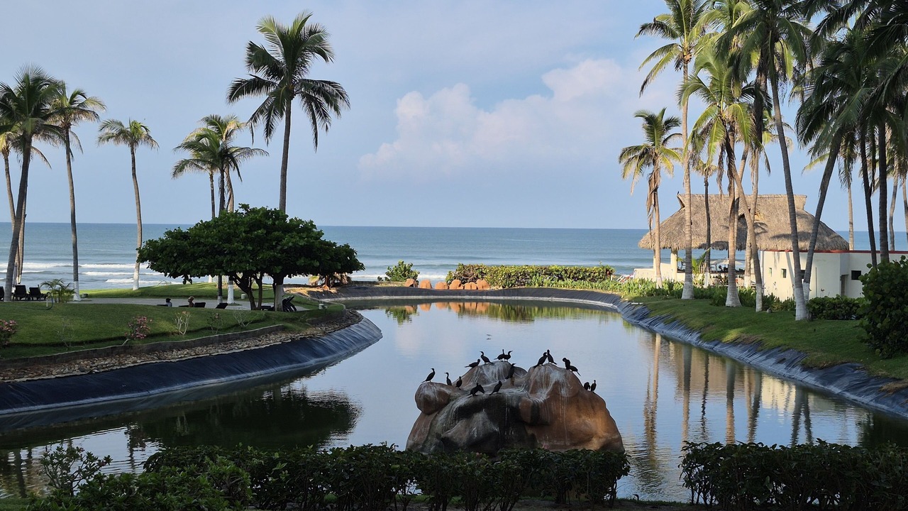 Photo of Others in Playa Diamante