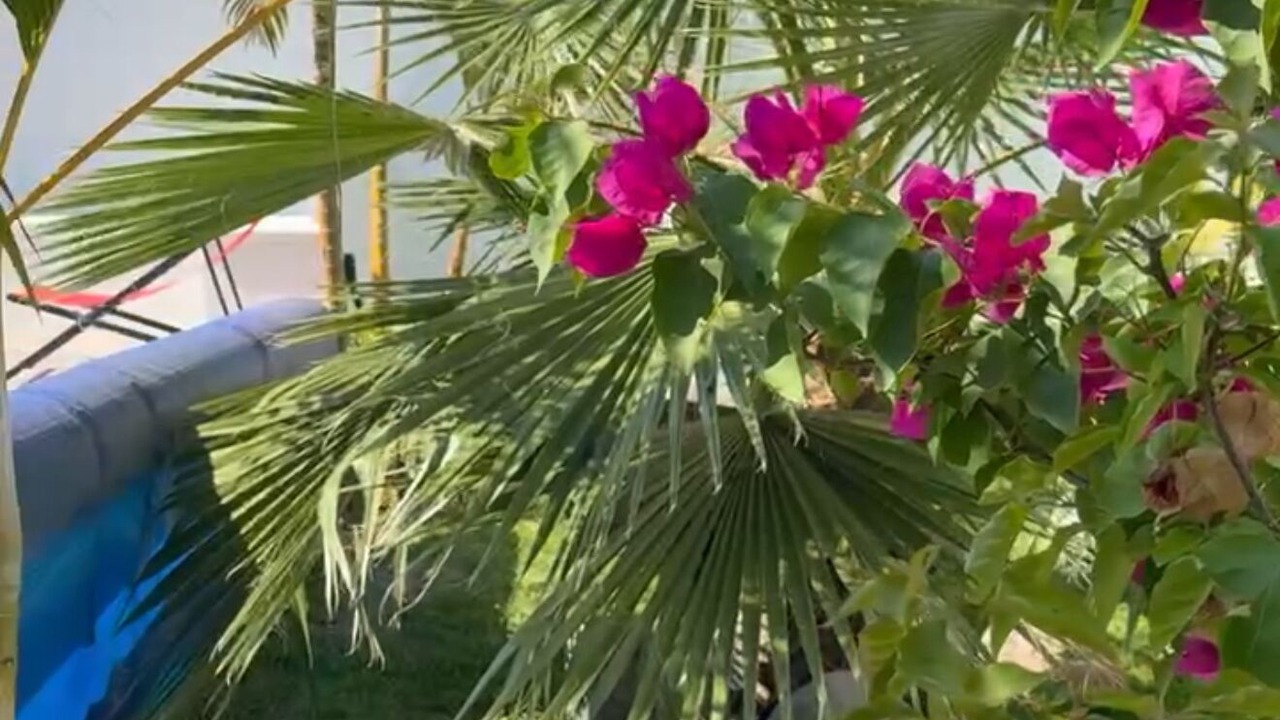 Photo of Outdoor in Tetecala