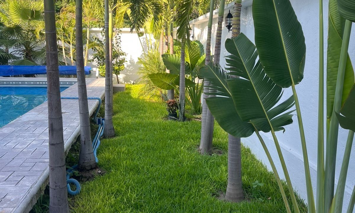Photo of Outdoor in Tetecala