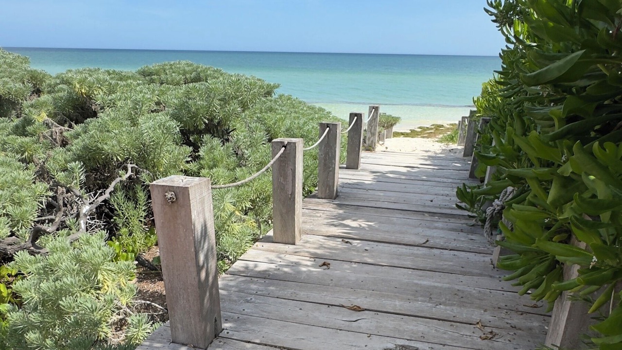 Photo of Others in Chicxulub Puerto