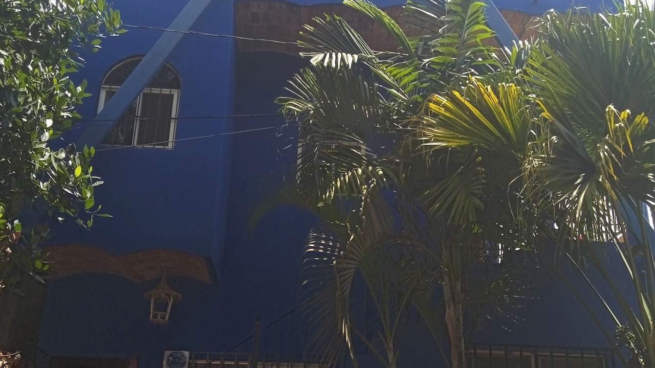 Photo of Outdoor in Chacala