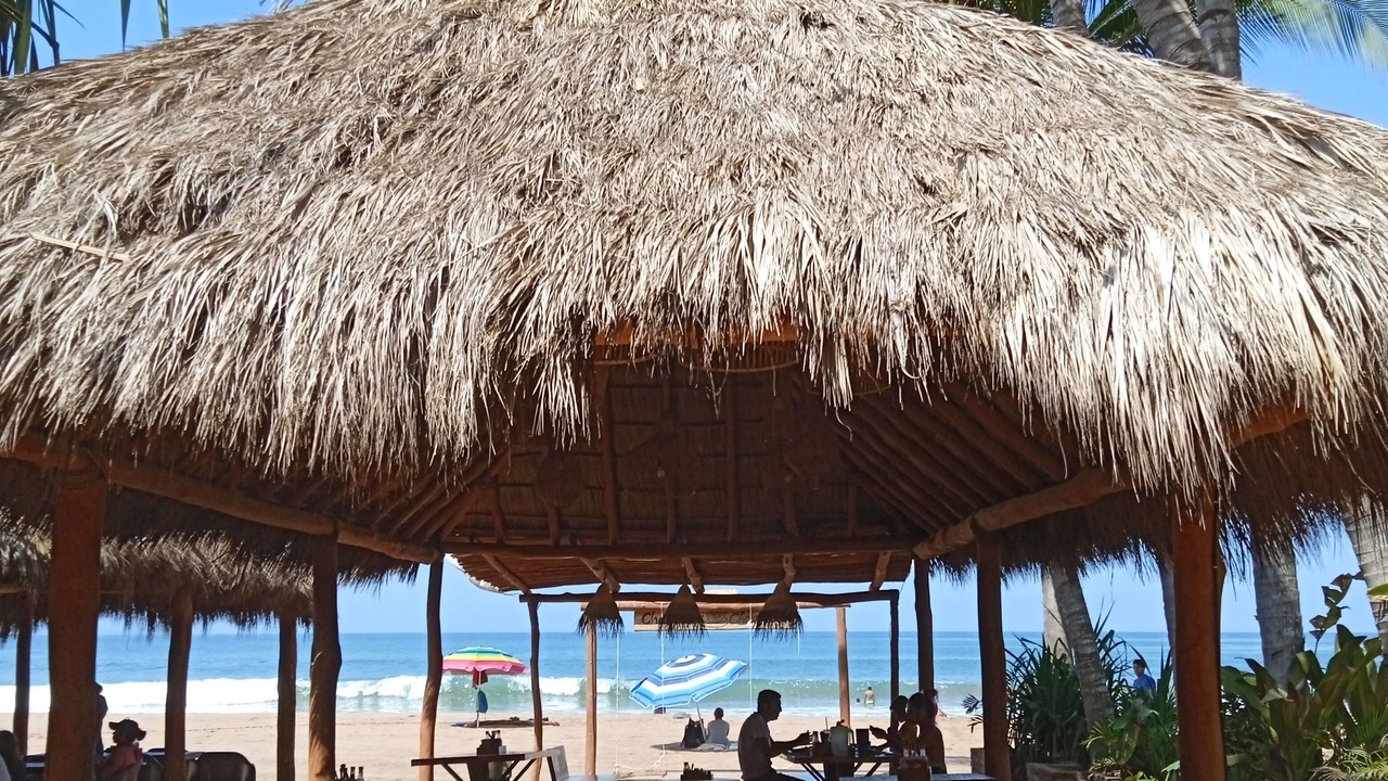 Photo of Others in Chacala