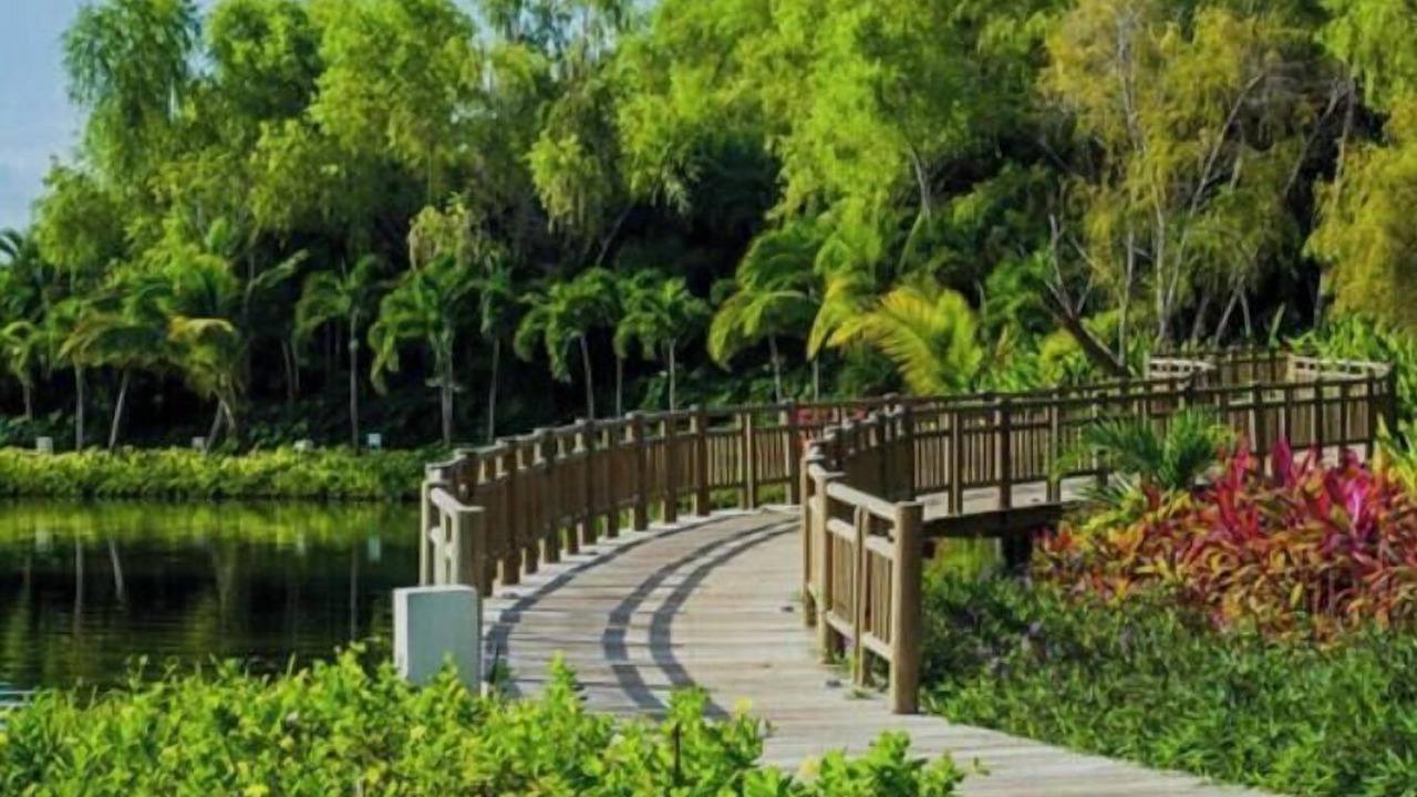 Photo of Outdoor in Las Jarretaderas