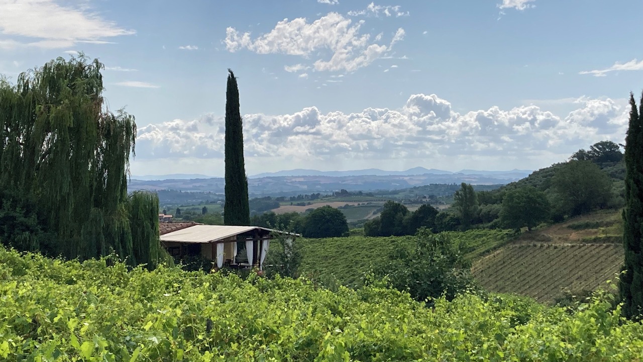 Photo of Others in Montepulciano