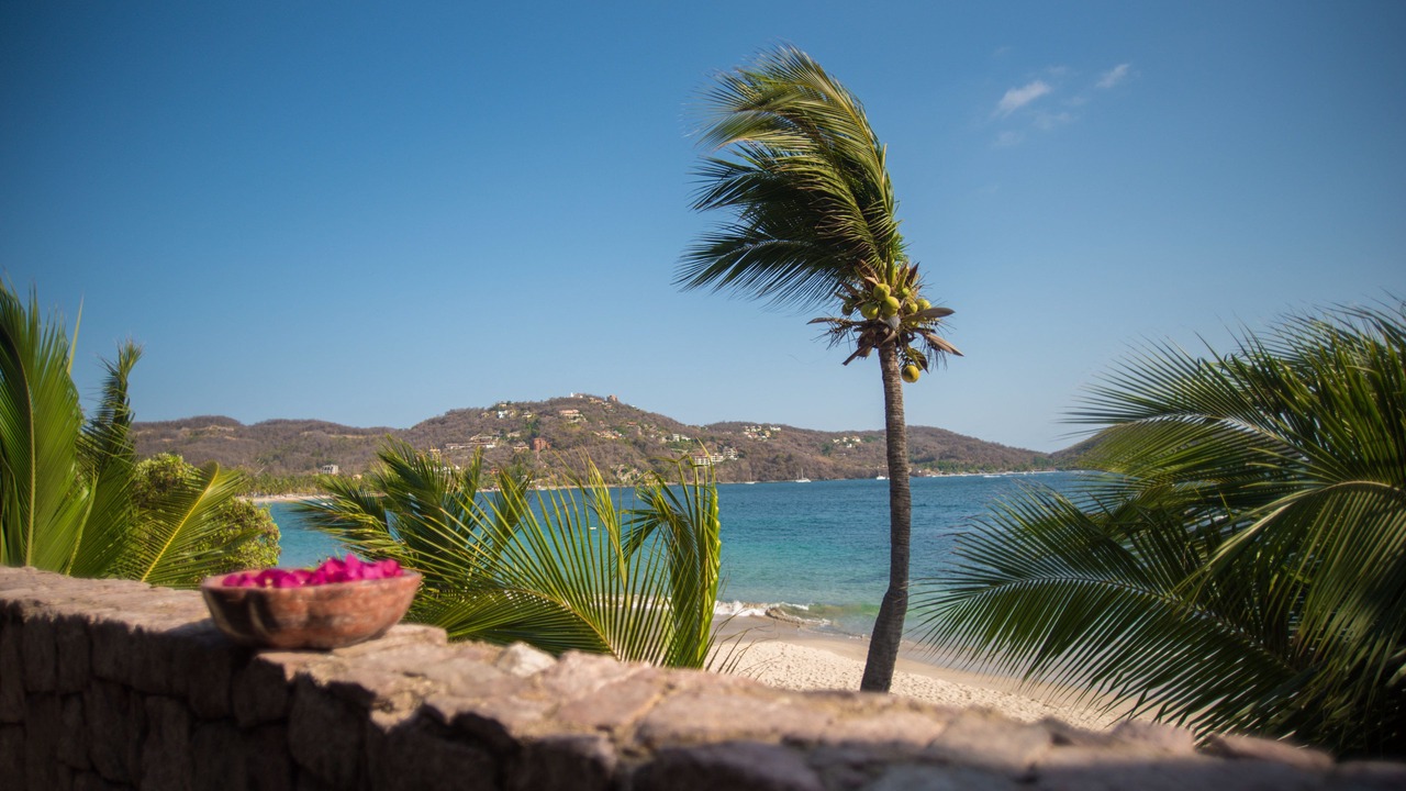 Photo of Others in Ixtapa - Zihuatanejo