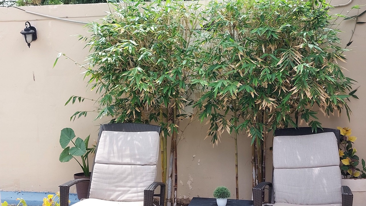 Photo of Patio Balcony in Montecarlo