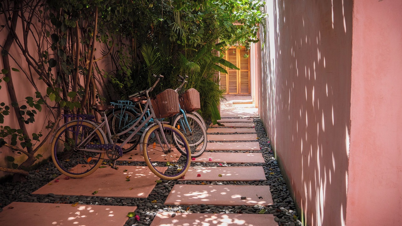 Photo of Outdoor in Perula