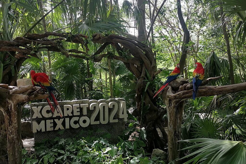 Photo of Outdoor in Centro