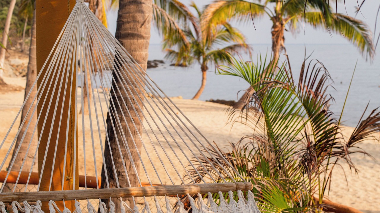 Photo of Others in Puerto Vallarta
