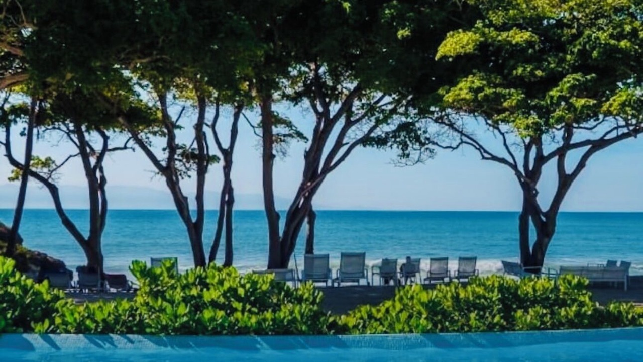 Photo of Others in Punta de Mita