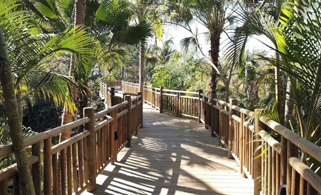 Photo of Outdoor in Isla Iguana