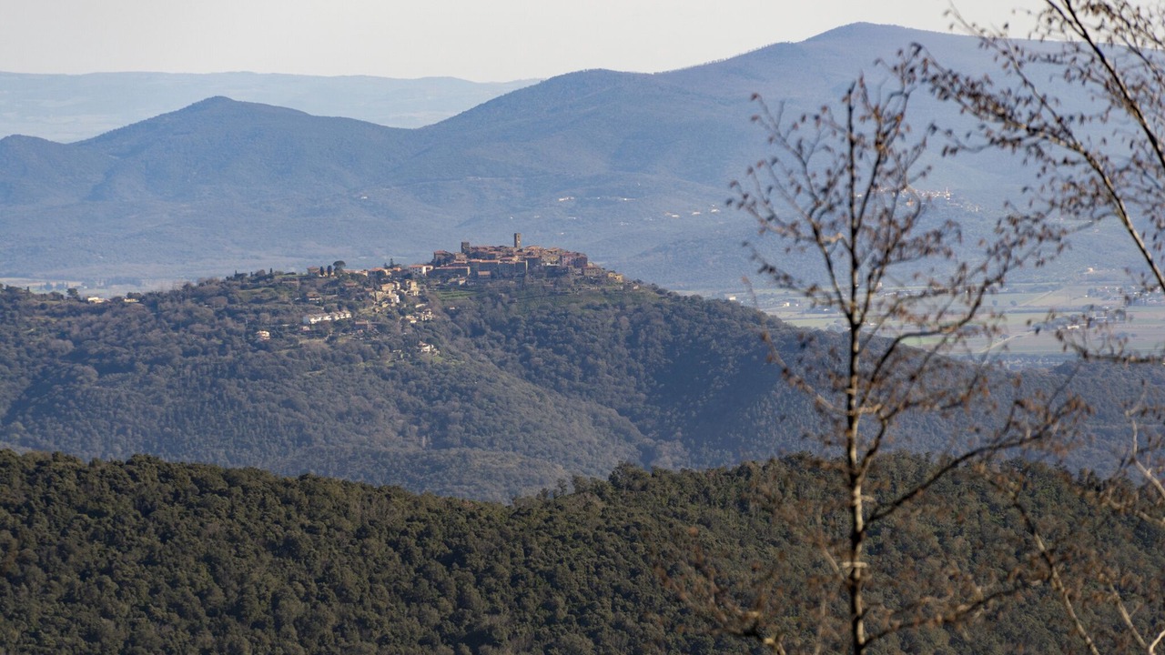 Photo of Others in Scarlino