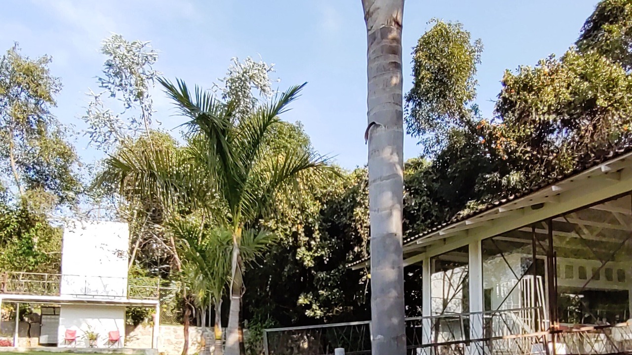 Photo of Outdoor in El Santuario