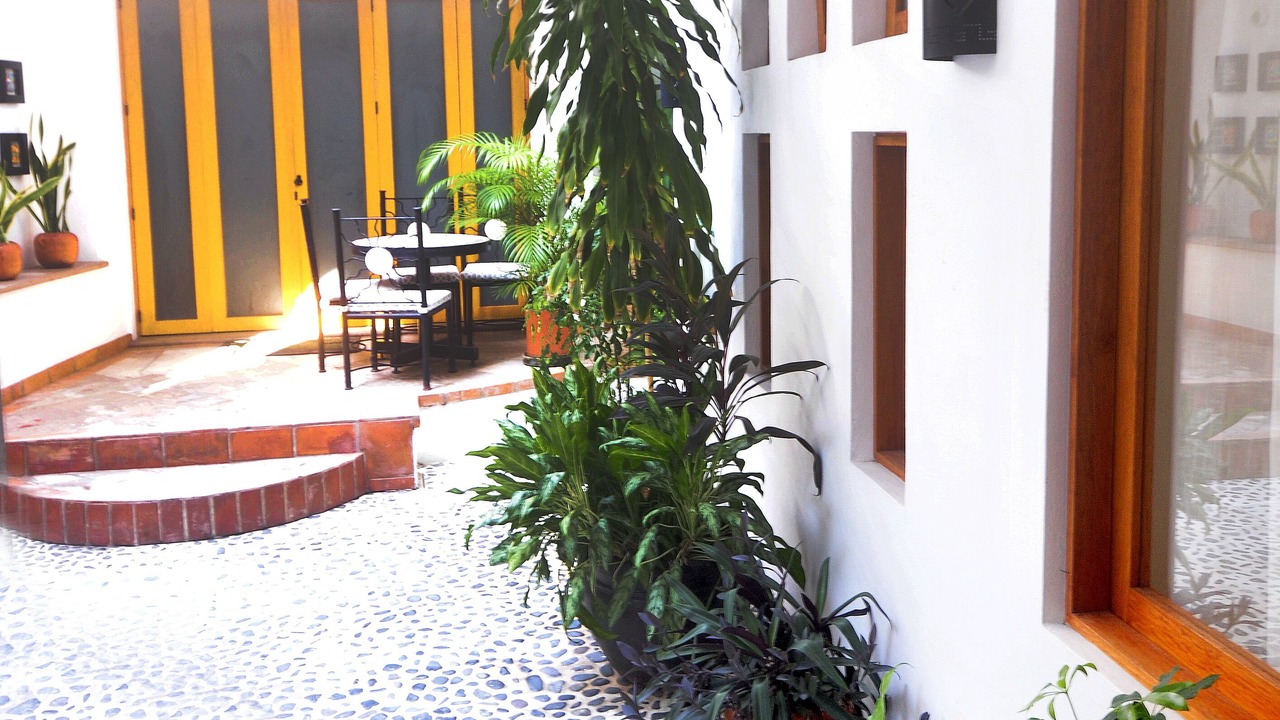 Photo of Outdoor in Lazaro Cardenas