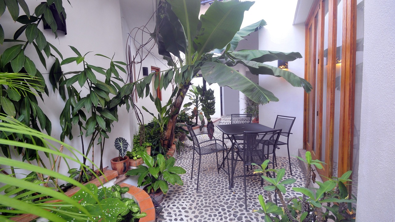 Photo of Outdoor in Lazaro Cardenas