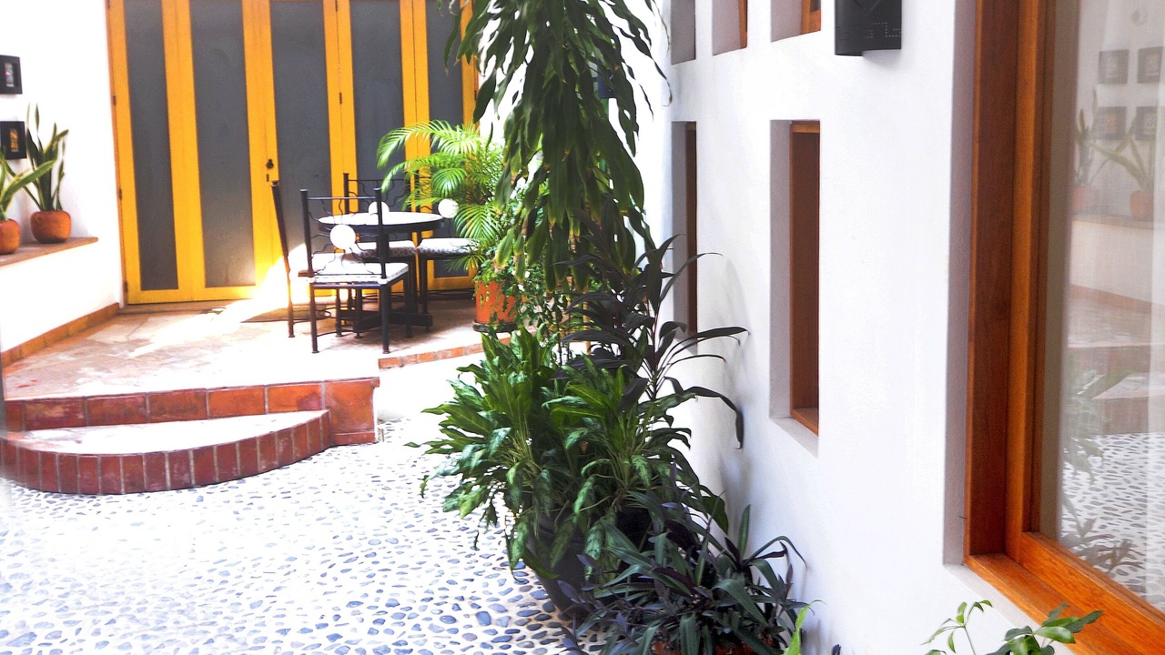 Photo of Outdoor in Lazaro Cardenas