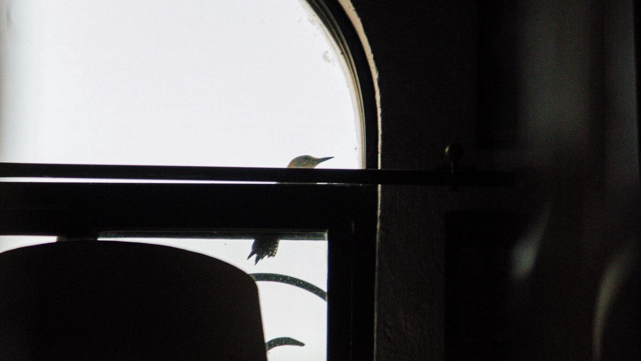 Photo of Others in Chantepec