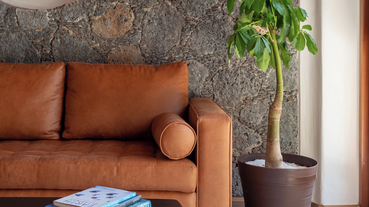 Photo of Livingroom in Tepoztlan