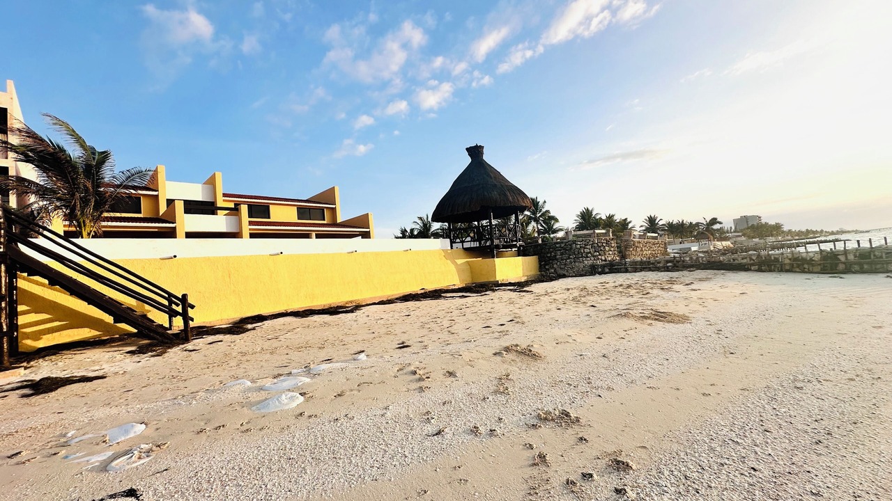 Photo of Others in Progreso Municipality