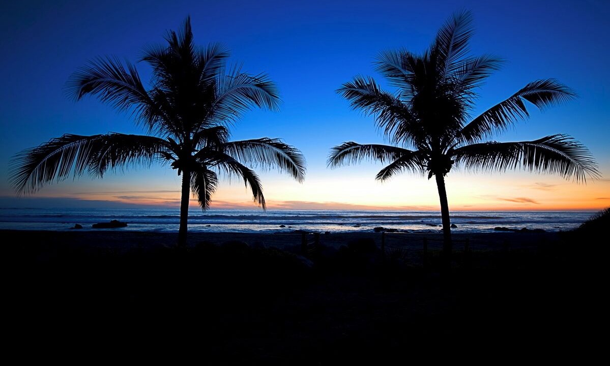 Photo of Others in Troncones