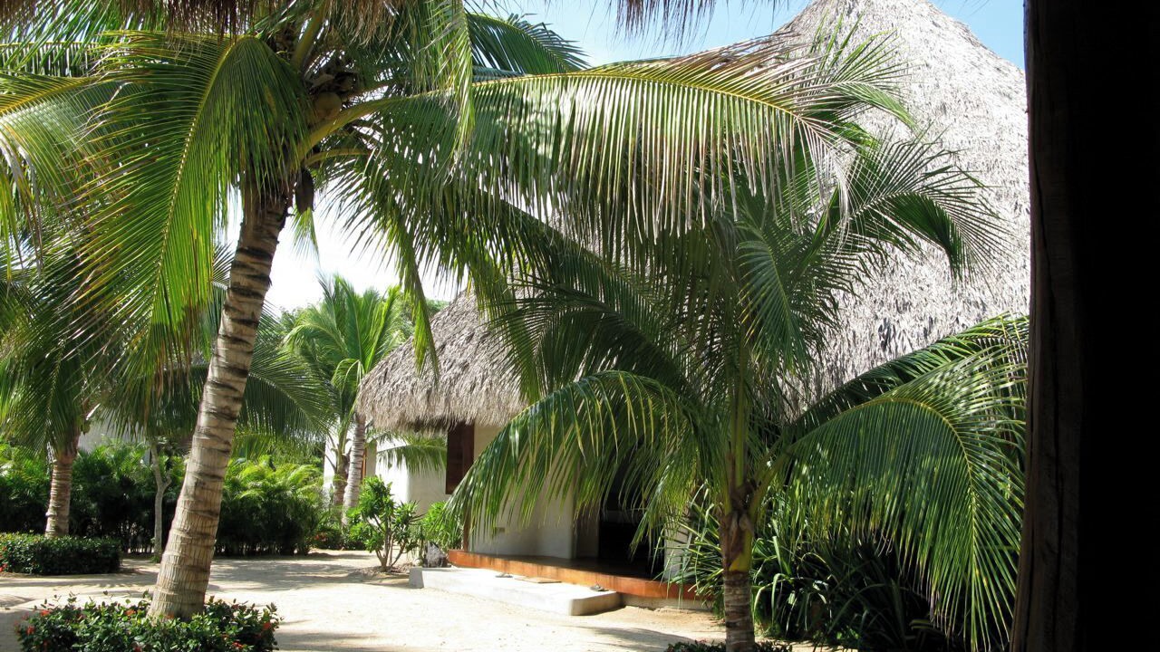 Photo of Outdoor in Troncones