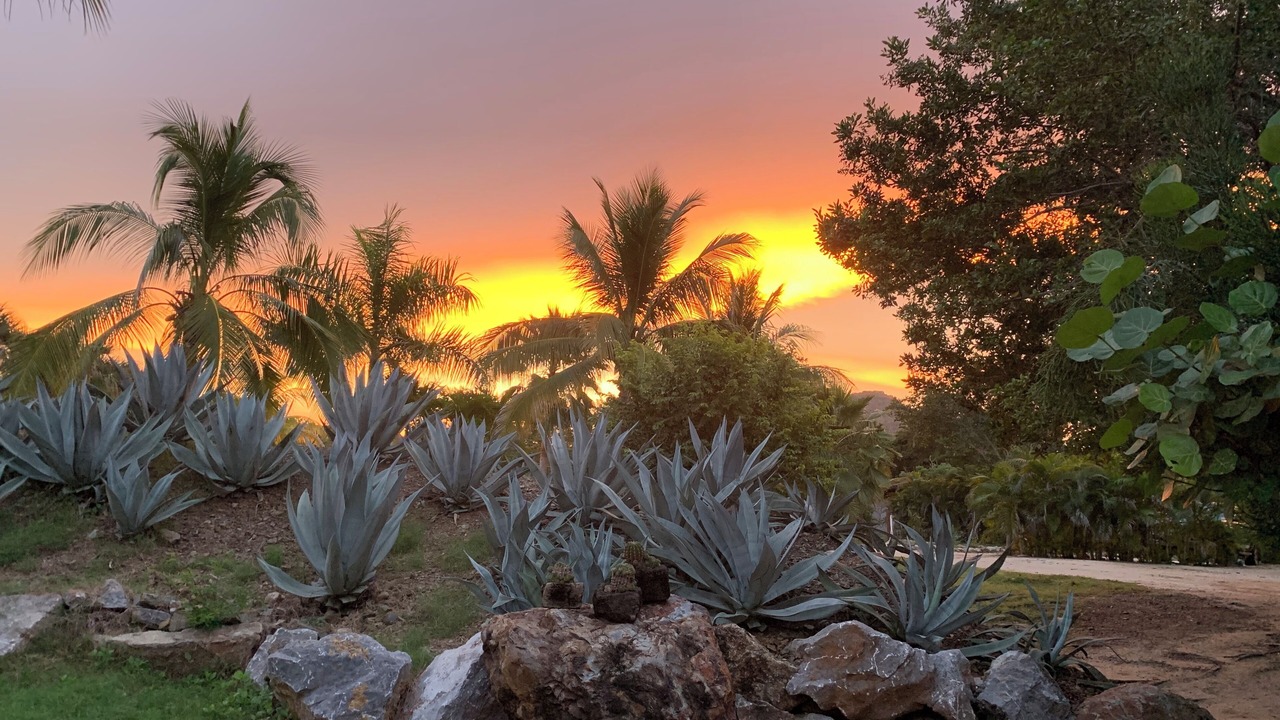 Photo of Outdoor in Troncones