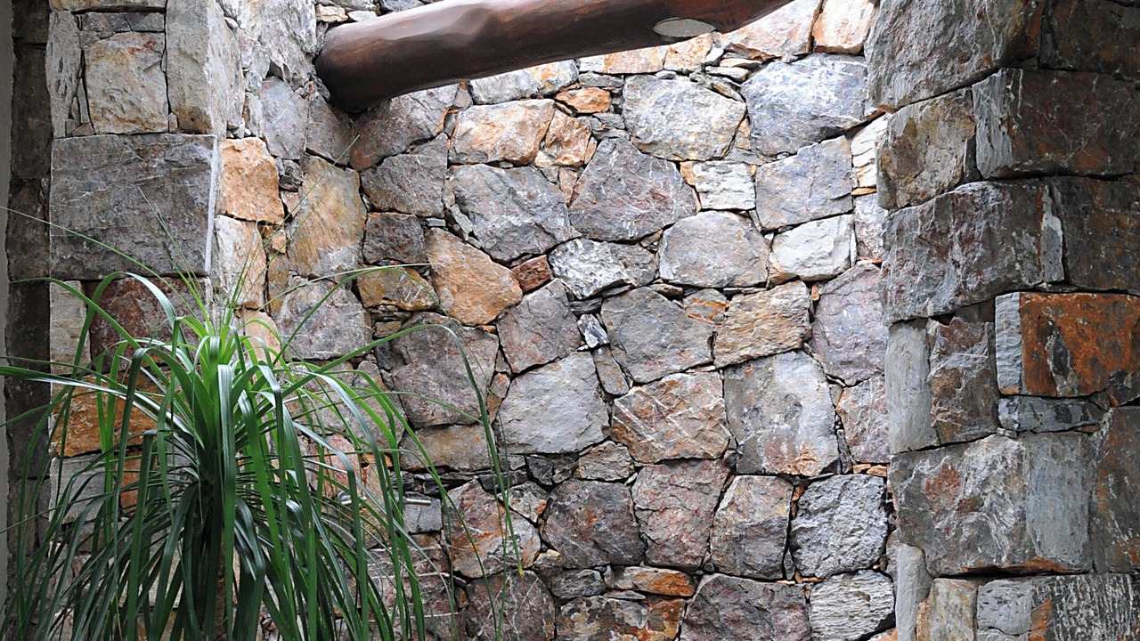 Photo of Outdoor in Troncones