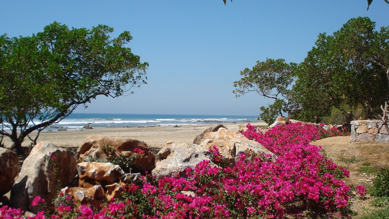 Photo of Others in Troncones