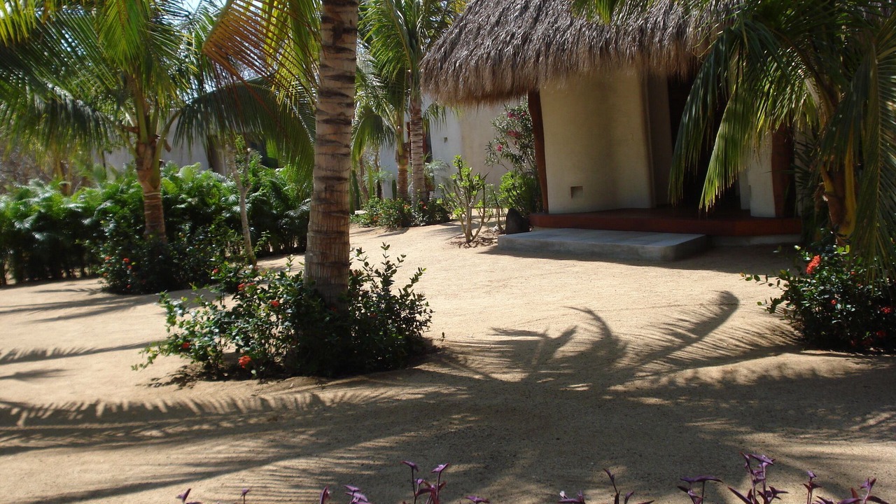 Photo of Outdoor in Troncones