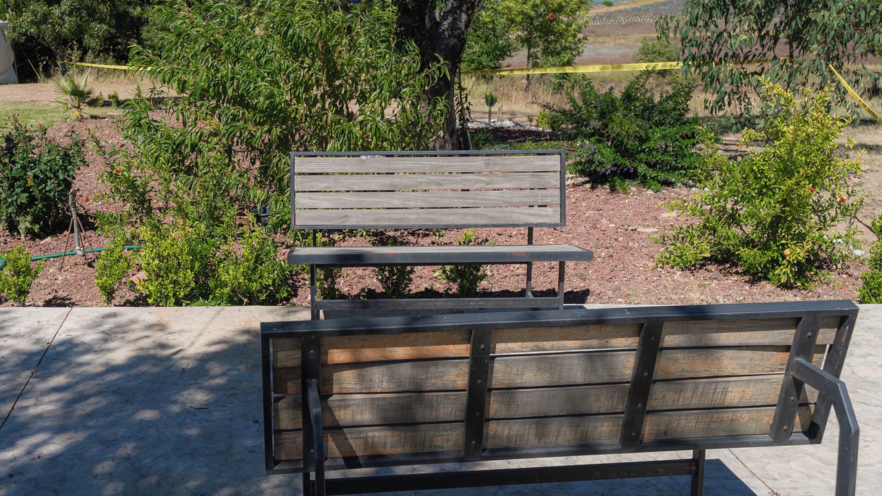Photo of Outdoor in Jesus Maria