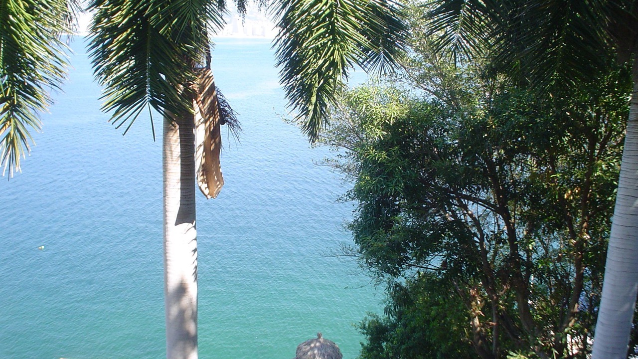 Photo of Others in Caleta