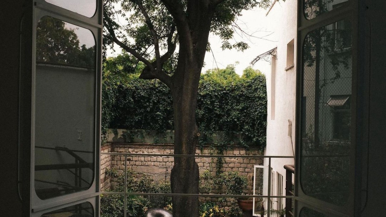 Photo of Others in San Miguel Chapultepec