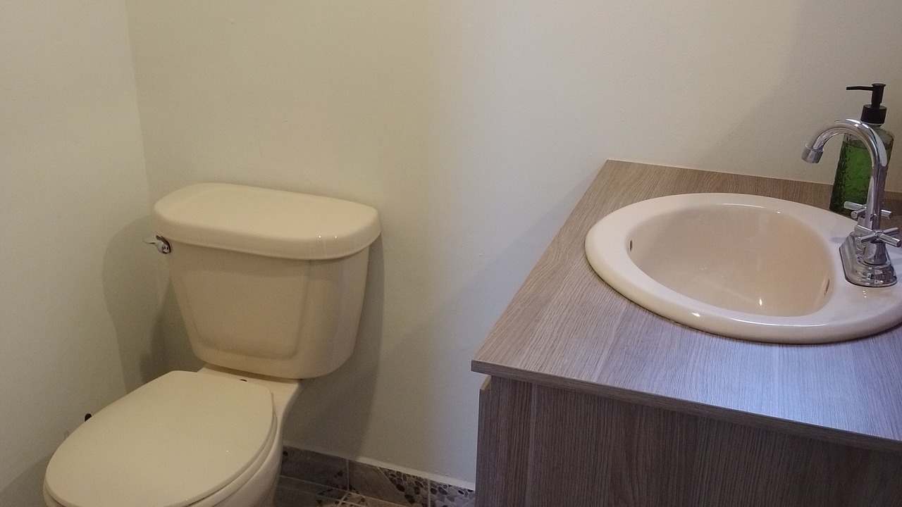 Photo of Bathroom in Amozoc