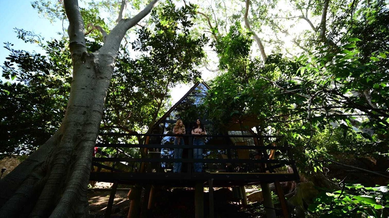 Photo of Outdoor in Tequila