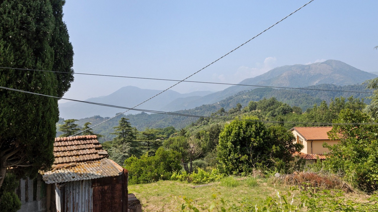 Photo of Others in Massarosa
