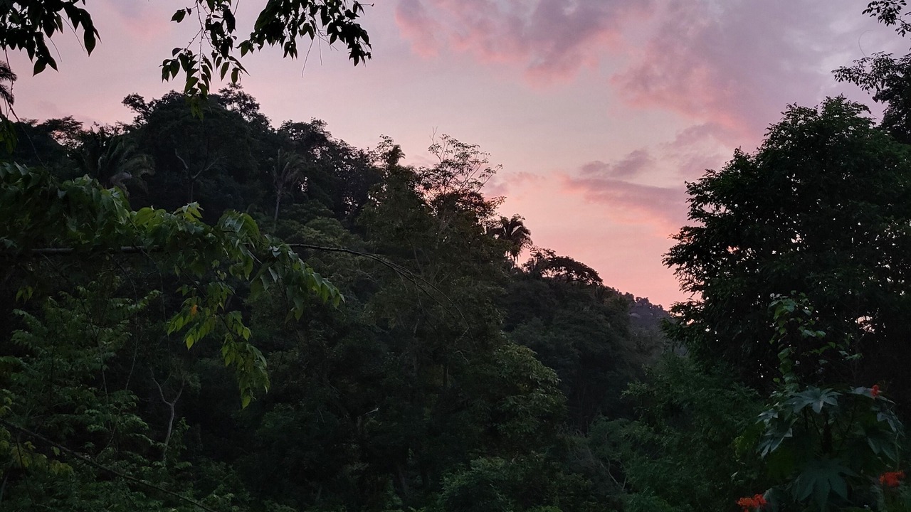 Photo of Outdoor in Yelapa