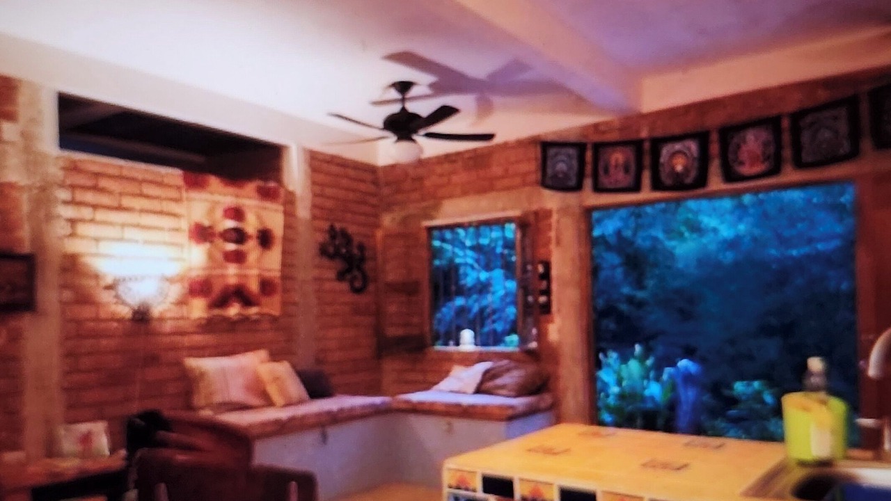 Photo of Livingroom in Yelapa