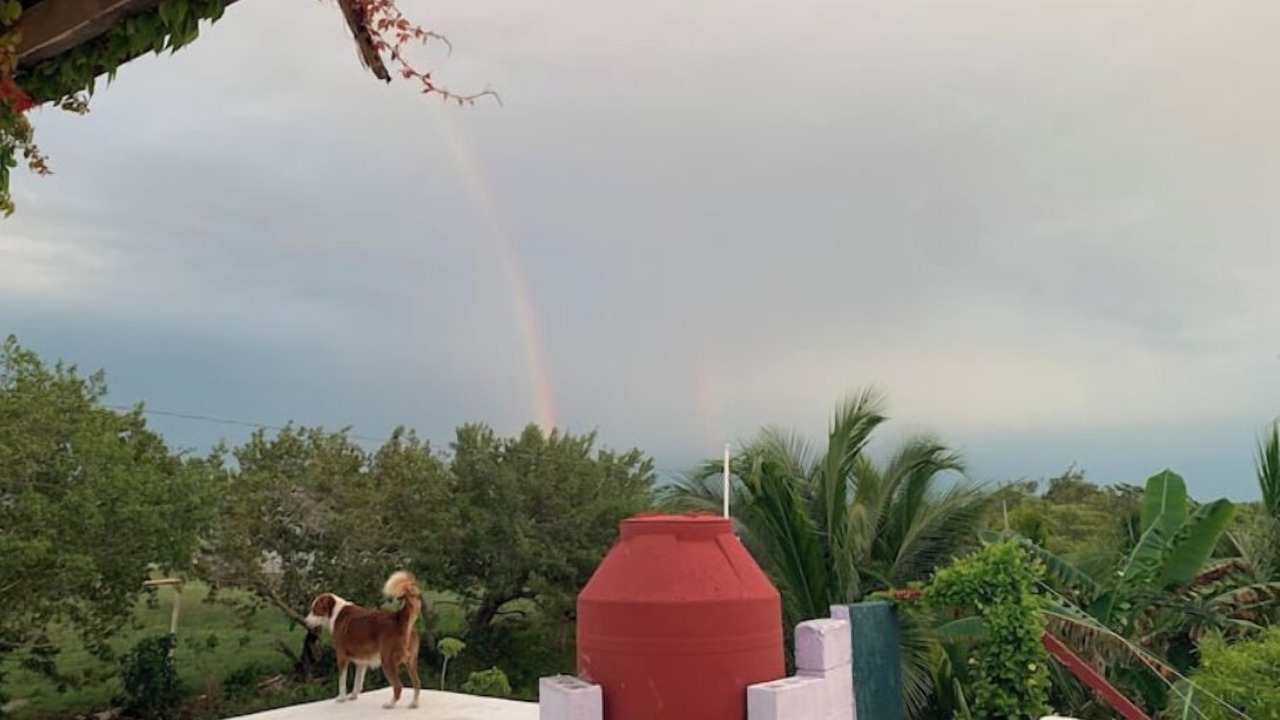 Photo of Outdoor in Telchac Puerto